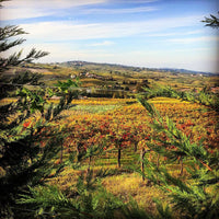 Calatroni wines - escursione in bici, pic nic e degustazione Lombardia Calatroni wines