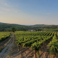 Calatroni wines - Degustazione di 4 metodo classico Lombardia Calatroni wines