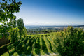 Bel Colle Winery - Cru di Langa