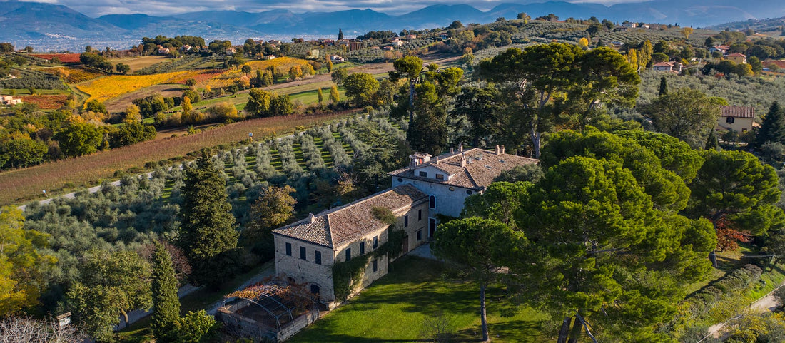 Antonelli San Marco - Degustazione 3 vini Umbria Antonelli San Marco