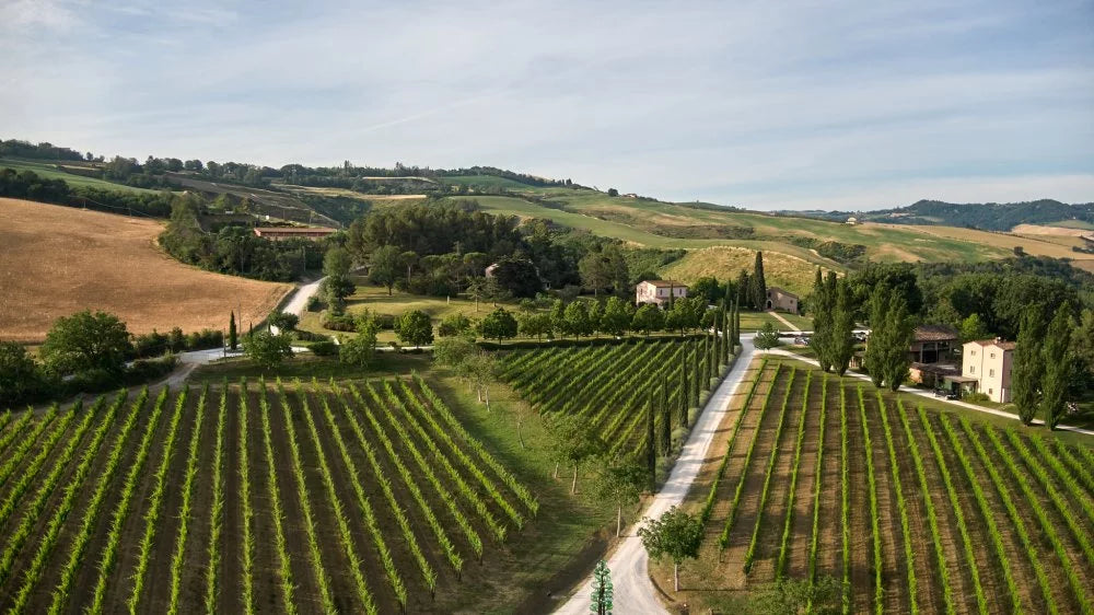 Tenuta Santi Giacomo e Filippo - Il Wine Tour in e-bike Marche Tenuta Santi Giacomo e Filippo
