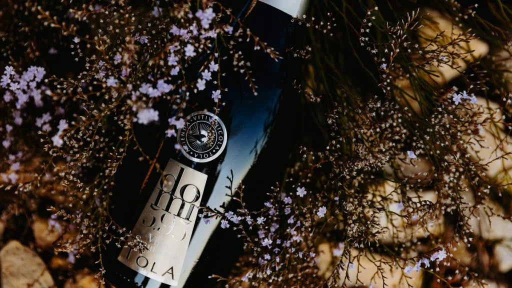 Az.Vitivinicola Tola - Degustazione classica Sicilia Az.Vitivinicola Tola