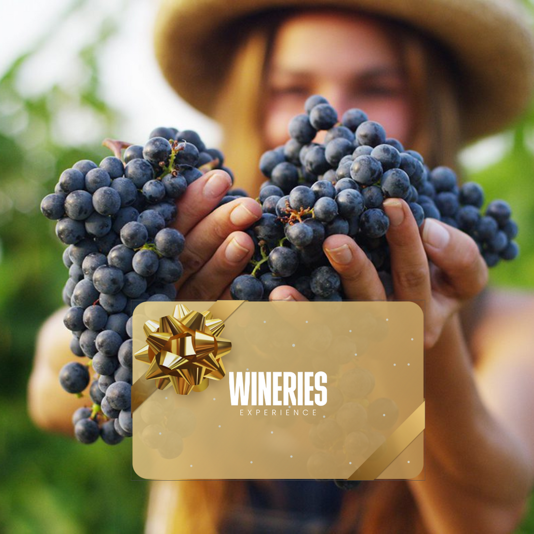 Gift Card - Visita in cantina con raccolta uva WINERIES