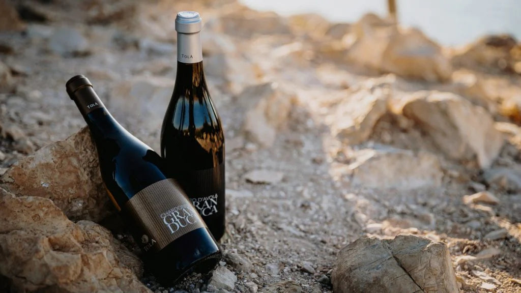 Az.Vitivinicola Tola - Degustazione classica Sicilia Az.Vitivinicola Tola