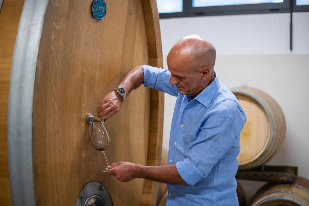 Azienda Agricola AleMat - 3 Vini + Tagliere Piemonte Azienda Agricola AleMat