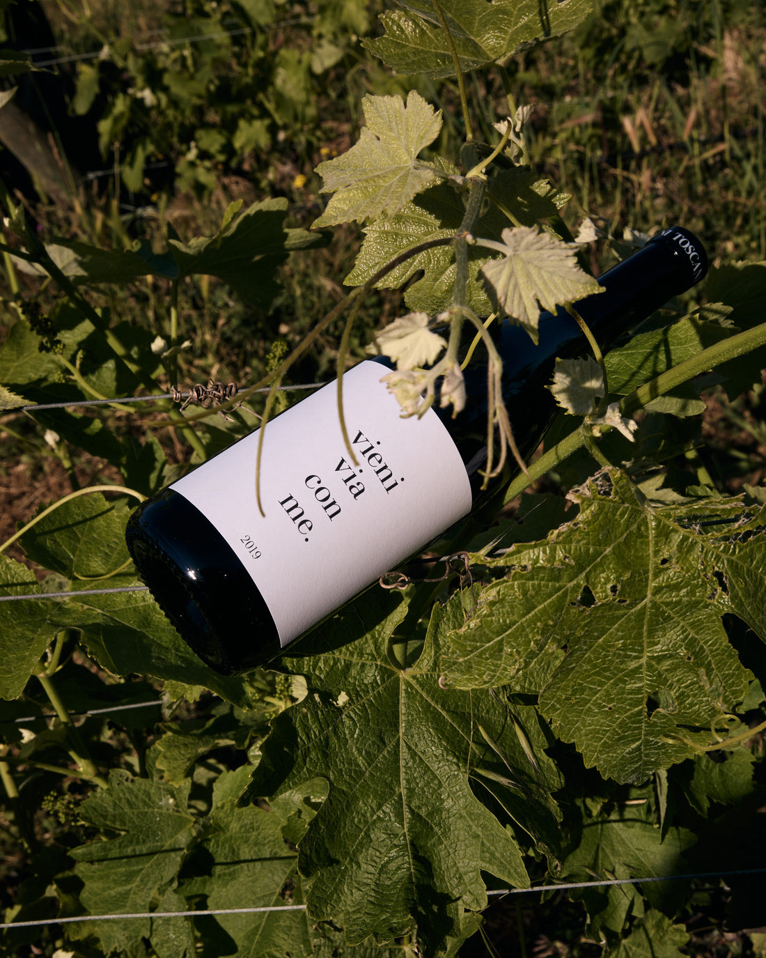 Az.agr Toscani - Degustazione e Light Lunch Toscana Az.agr Toscani