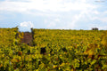 Tassarolo Castle - Wine Only