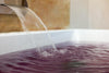 Granja Svetoni - Experiencia Premium SVETONI