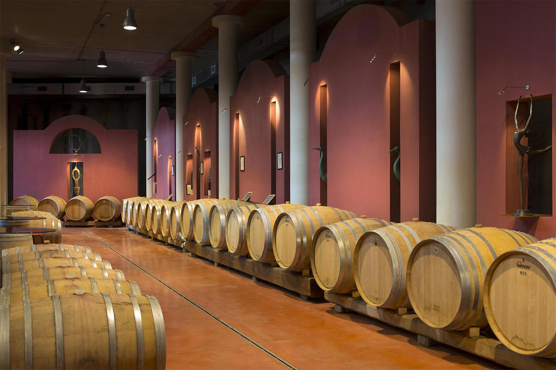 Le Palaie - Degustazione Toscana Le Palaie