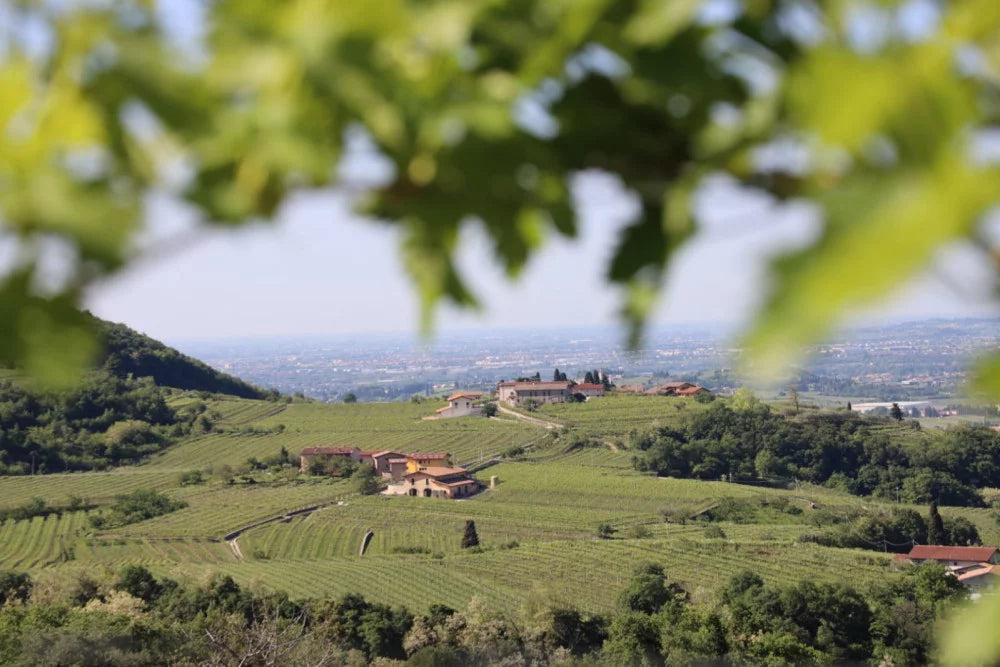 Le Bignele - Relax in Valpolicella Veneto Le Bignele