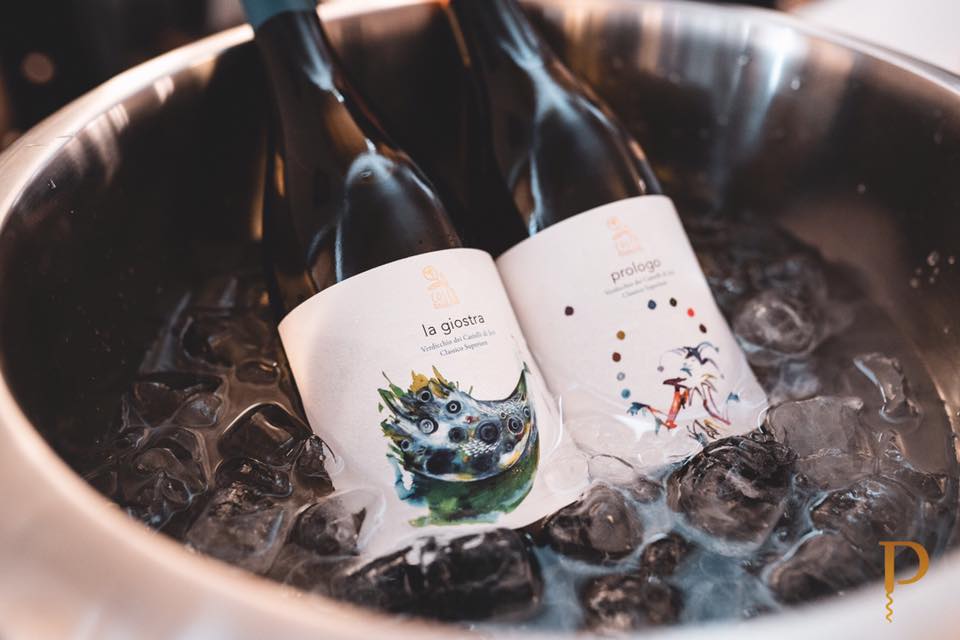 Colleonorato - Degustazione Classica Marche Colleonorato