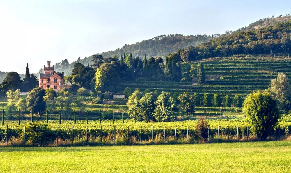 Castello Bonomi - Riserva Lucrezia Lombardia Castello Bonomi