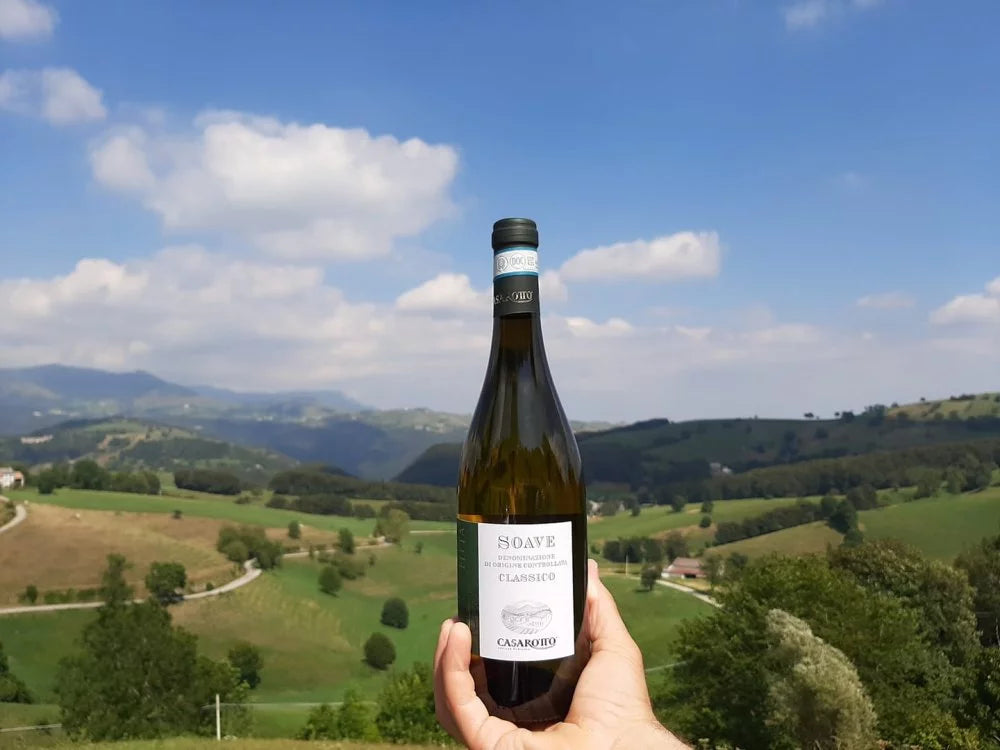 Azienda Agricola Casarotto - Degustazione Base Veneto Azienda Agricola Casarotto