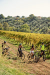 Marco carpineti - In E-MTBike among the vineyards - The pedaling will assist you where the wine originates