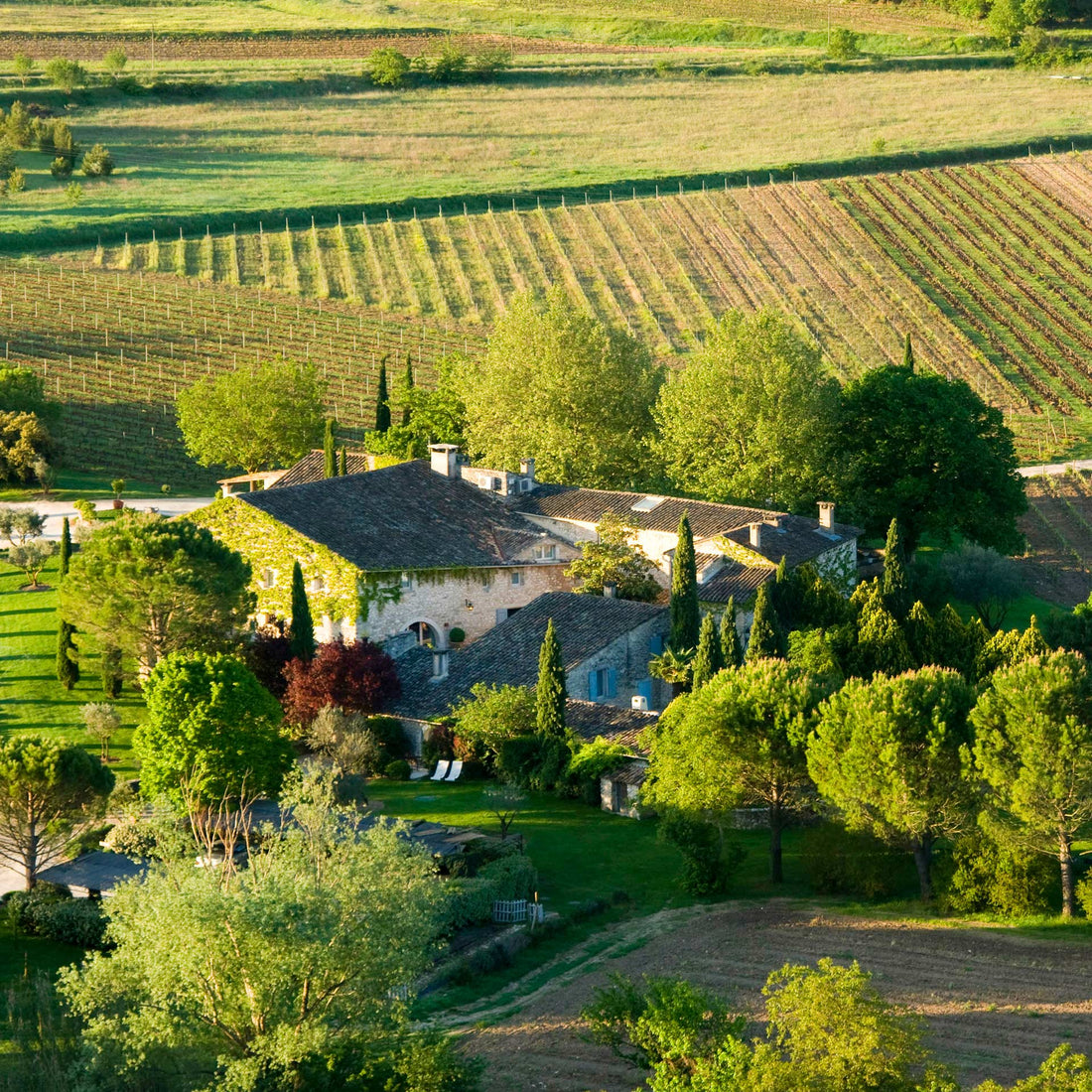 Soggiorno Luxury in Wine Resort - Umbria Wineries Experience