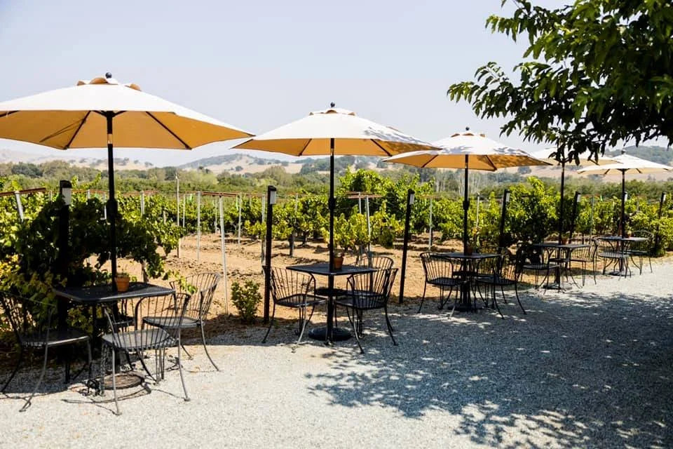 Soggiorno Luxury in Wine Resort - Umbria Wineries Experience