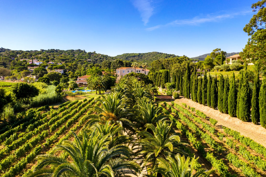 Soggiorno Luxury in Wine Resort - Umbria Wineries Experience
