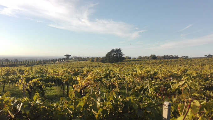 Castel de Paolis - Degustazione Mix Lazio Castel de Paolis