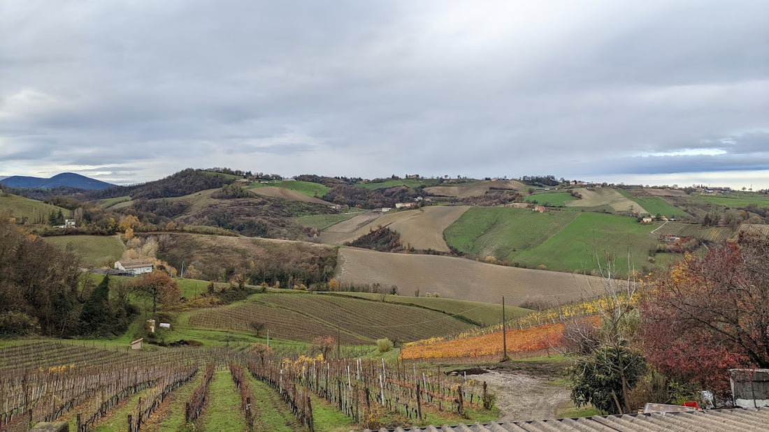 La Bandina - Lunch tasting e tour Emilia Romagna La Bandina