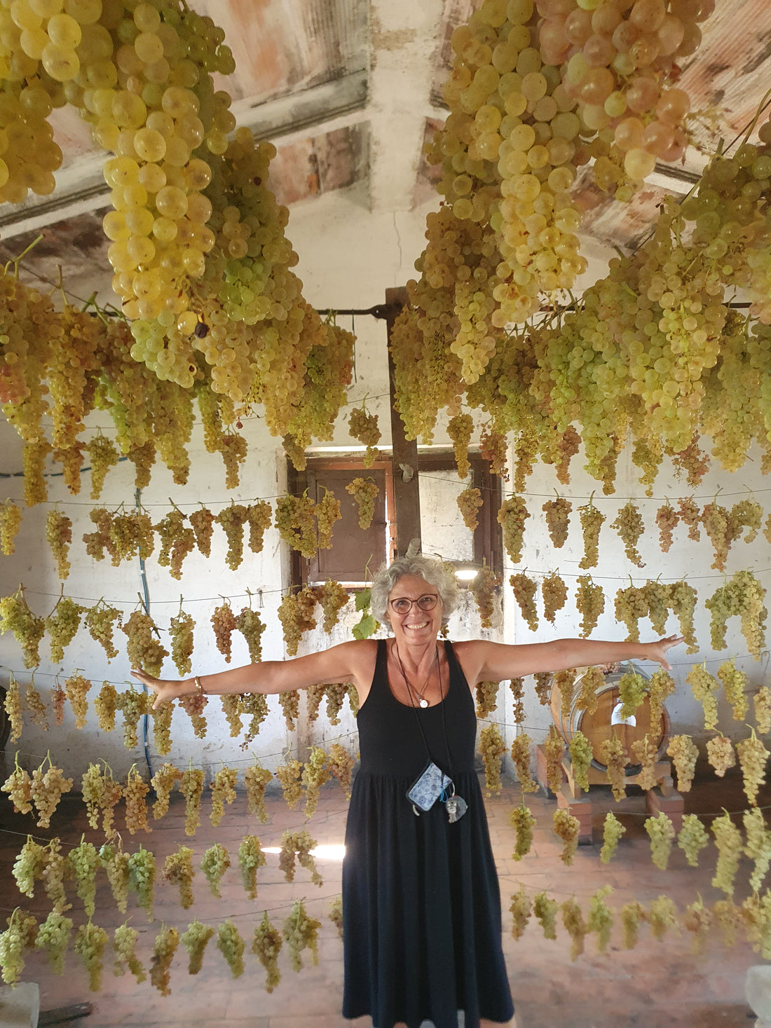 Fattoria Bellavista - Bellavista Experience Toscana Fattoria Bellavista