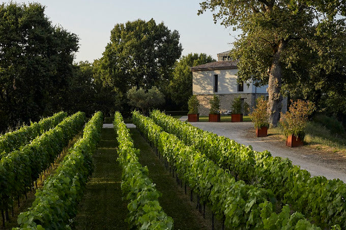 Borgo San Gregorio Experience - Soggiorno All Inclusive Campania Feudi di San Gregorio