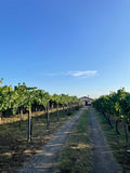 Cantina Costantini - Degustación Clásica