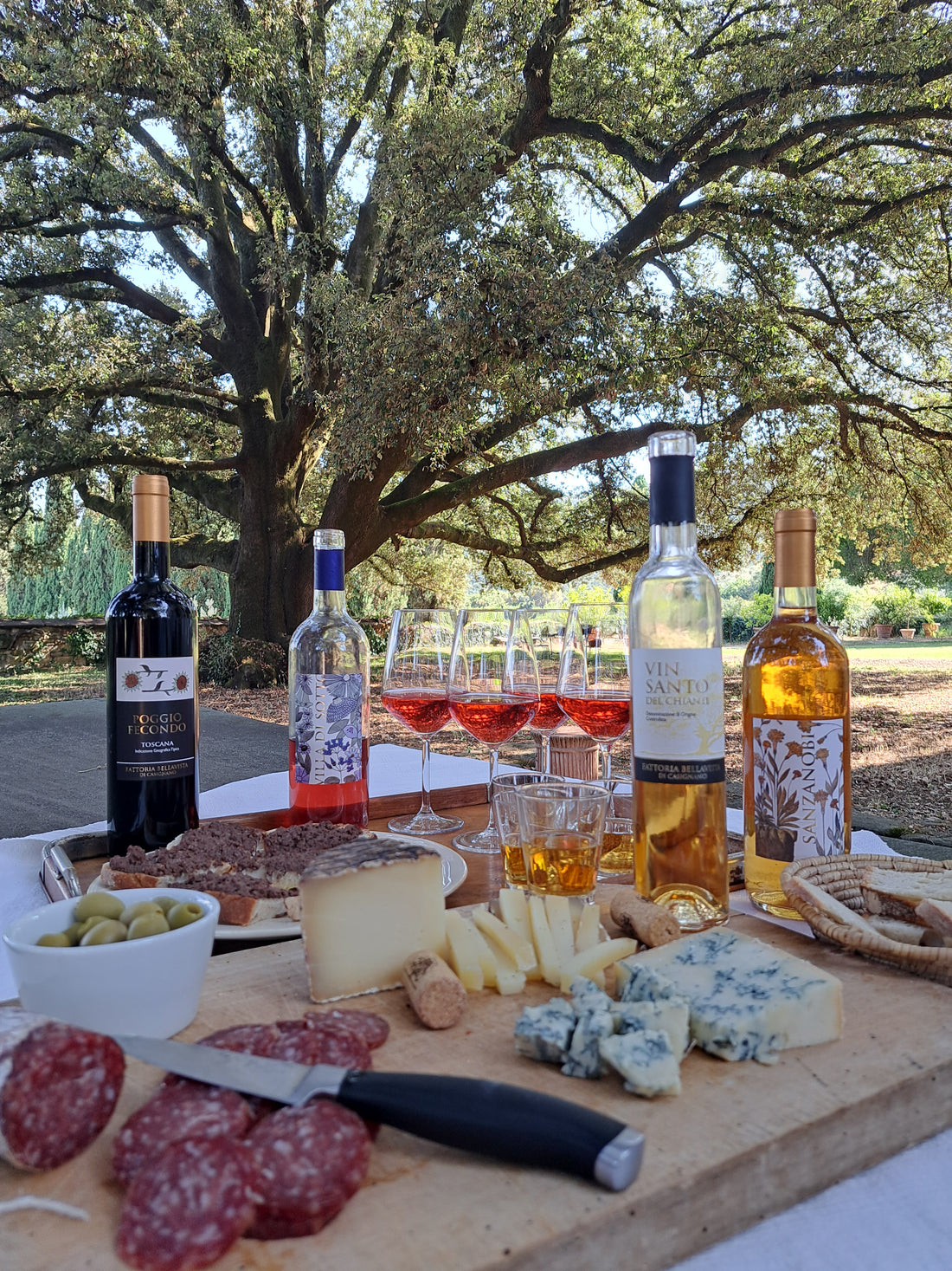 Fattoria Bellavista - Bellavista Experience Toscana Fattoria Bellavista