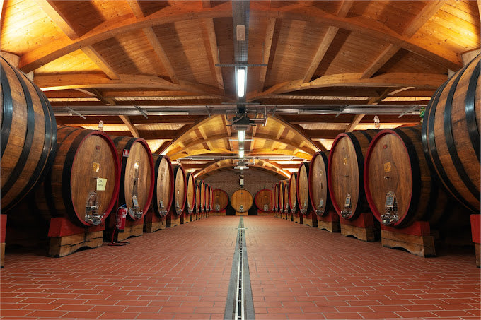 Cantina di Montalcino - Classic Experience Toscana Cantina di Montalcino