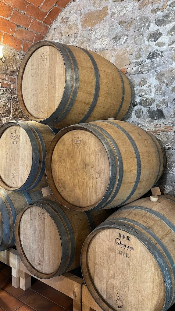 Cantina Costantini - Exclusive tasting Lazio Cantina Costantini