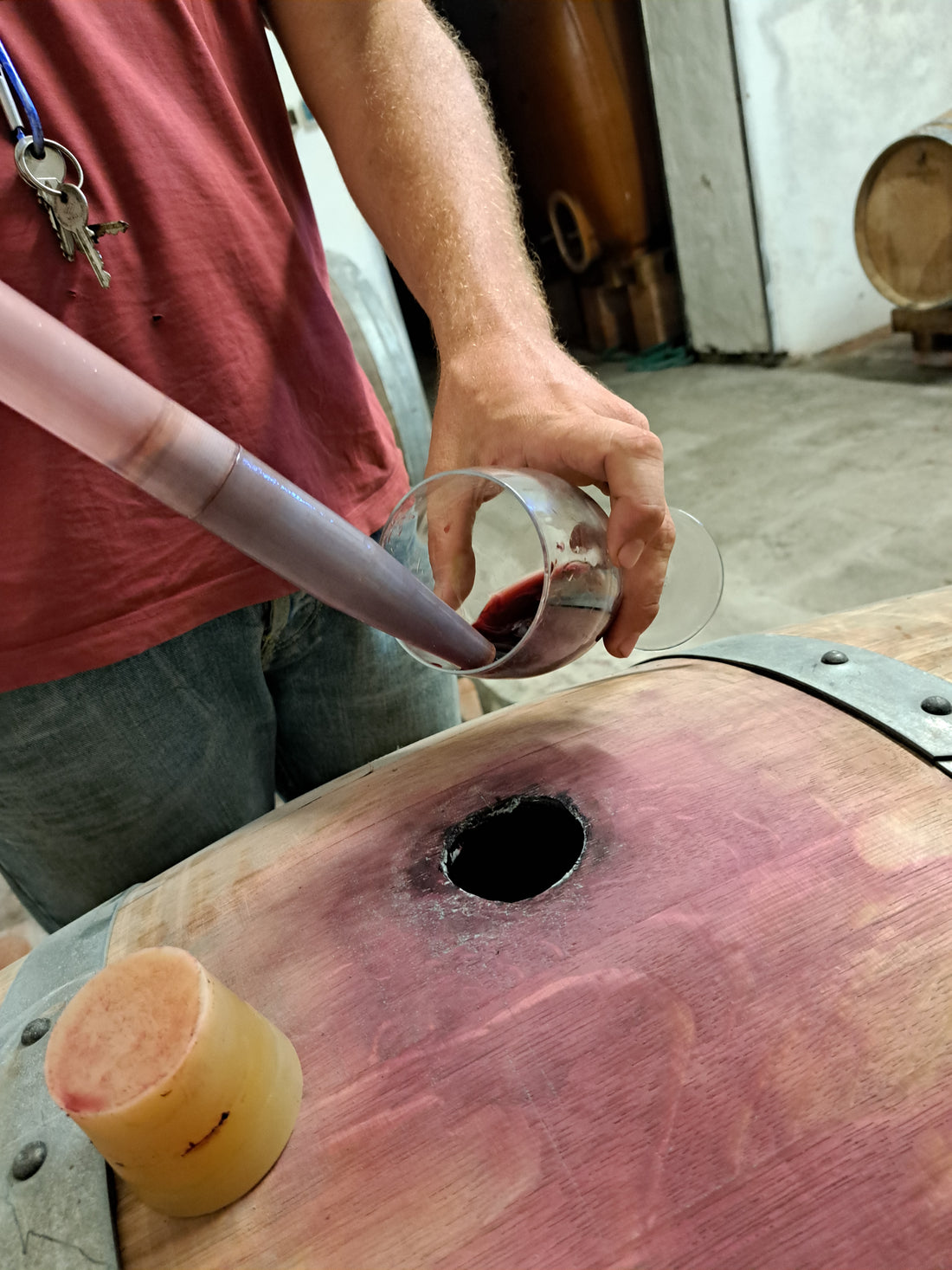 Fattoria Bellavista - Bellavista Experience Toscana Fattoria Bellavista