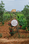Augustali - Wines in the land of Frederick II