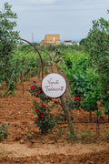 Augustali - Wines in the land of Frederick II