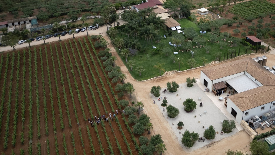 Augustali - Natura, cibo e vino Sicilia Augustali