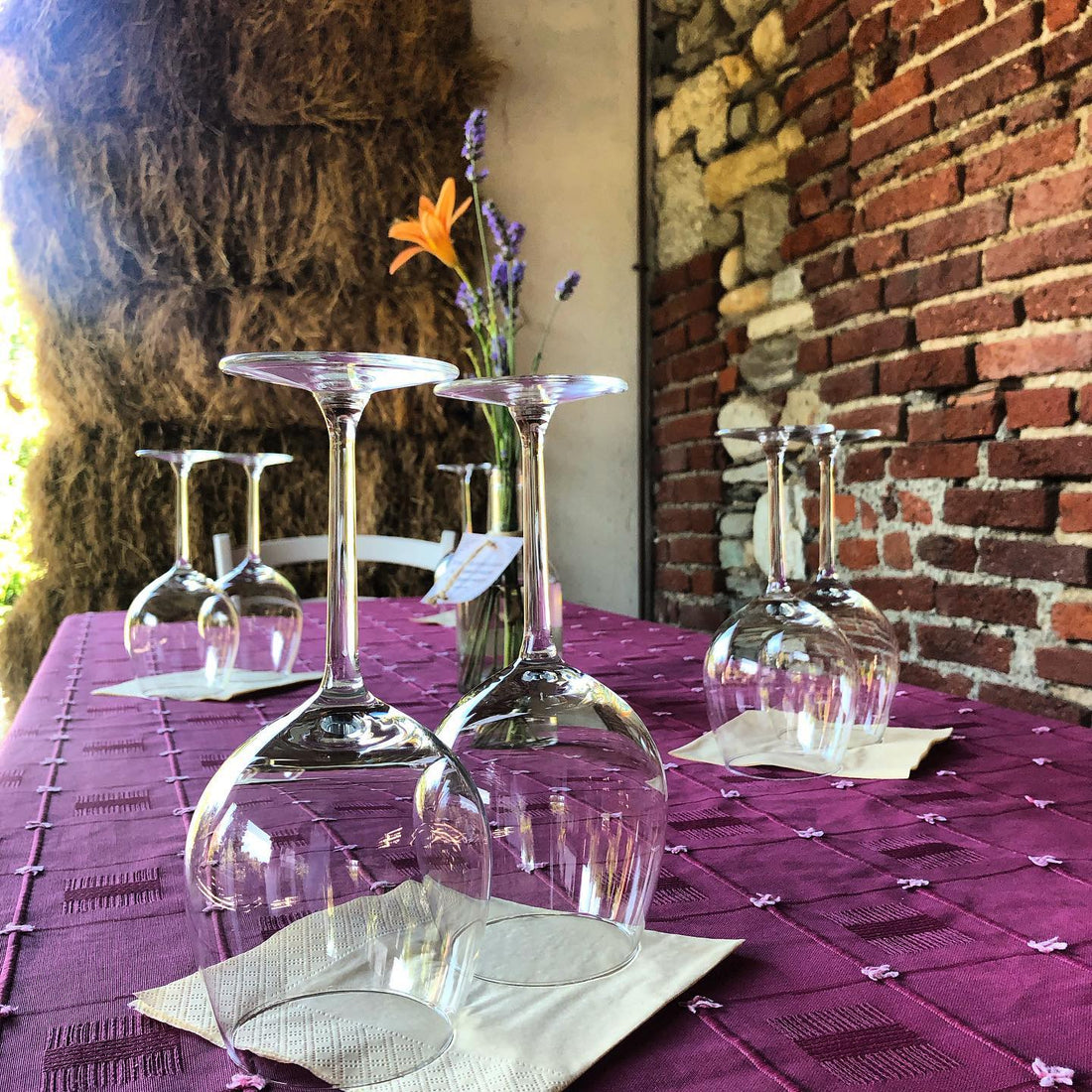 Fontechiara - Sorsi di relax : soggiorno e degustazione al Decanter House Piemonte Fontechiara