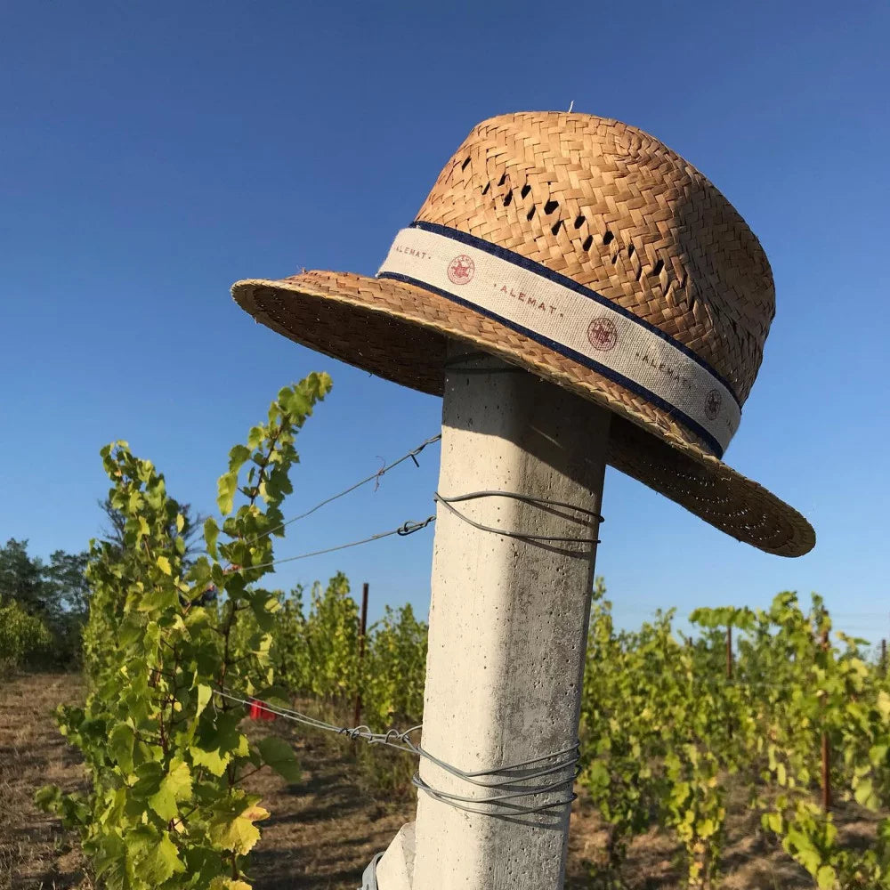 Azienda Agricola AleMat - 4 Vini + Tagliere Piemonte Azienda Agricola AleMat