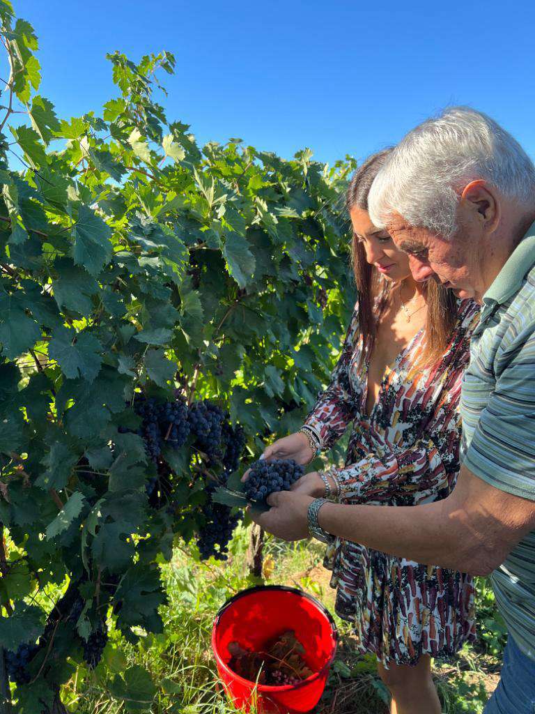 Migliosi viticoltori - Pic Nic Umbria Migliosi viticoltori