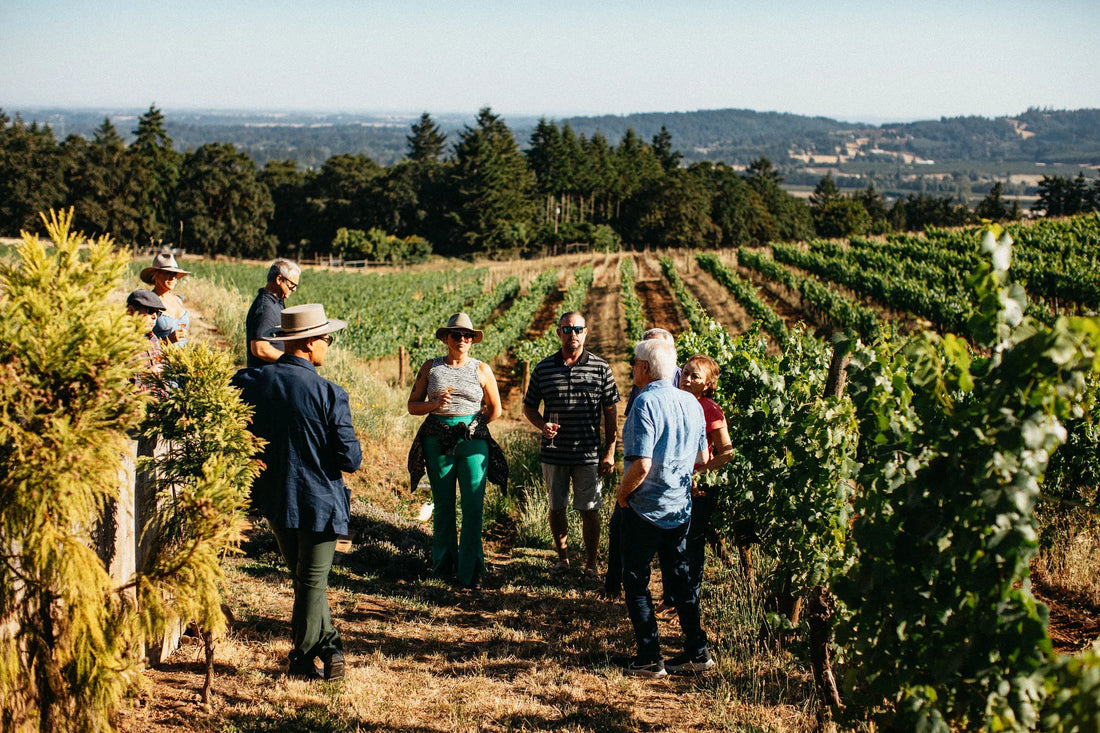 Soggiorno Luxury in Wine Resort - Veneto Wineries Experience