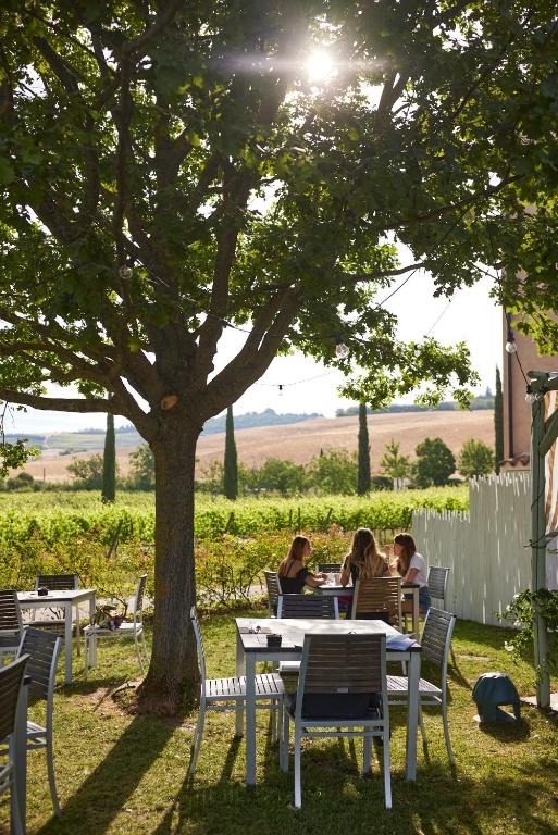 Tenuta Santi Giacomo e Filippo - Sunday Lunch in Tenuta Marche Tenuta Santi Giacomo e Filippo