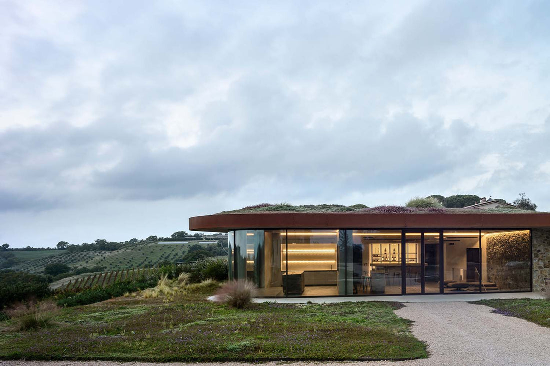 Il Quinto - Quinto Tasting Toscana Il Quinto