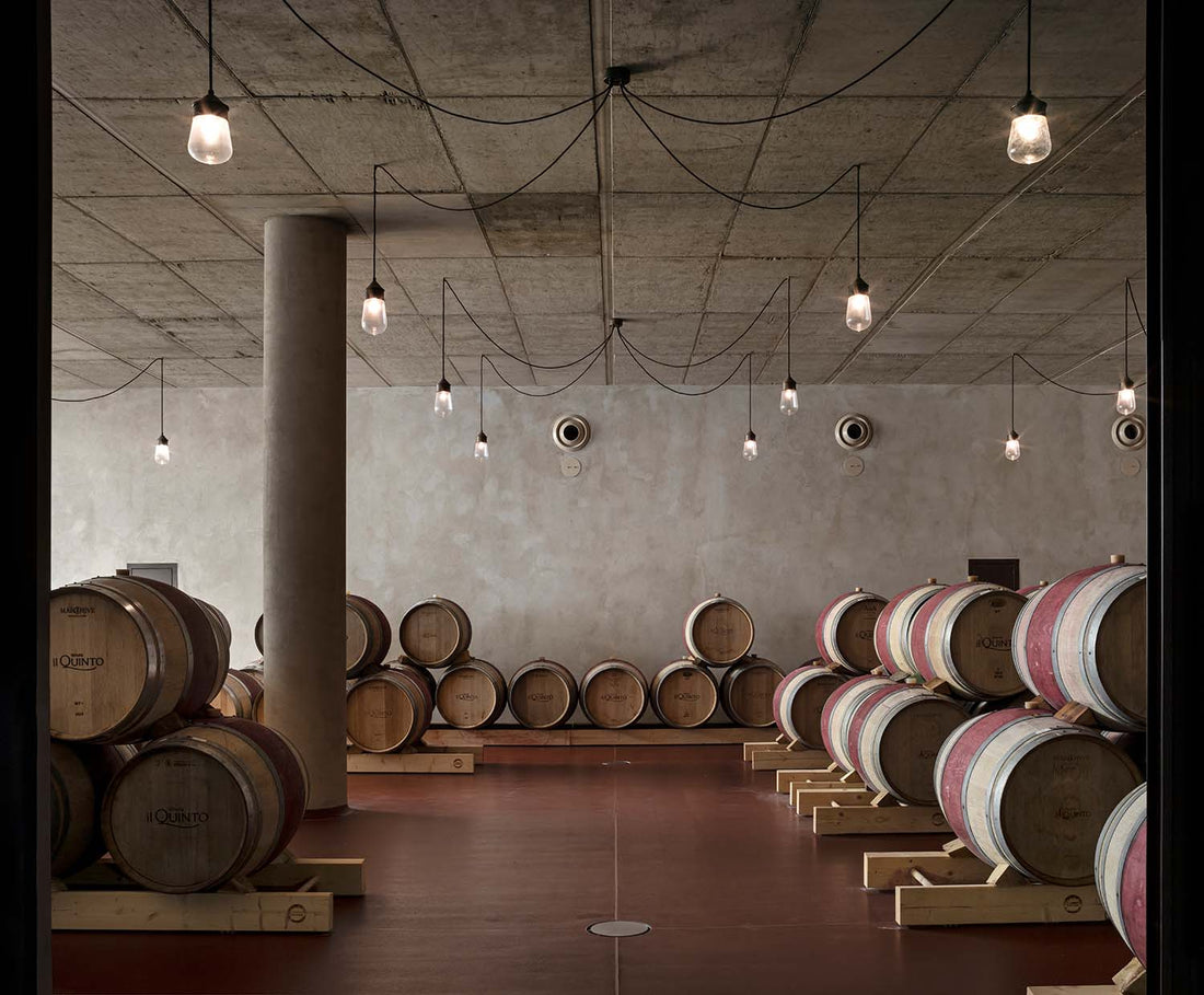 Il Quinto - Quinto Tasting Toscana Il Quinto