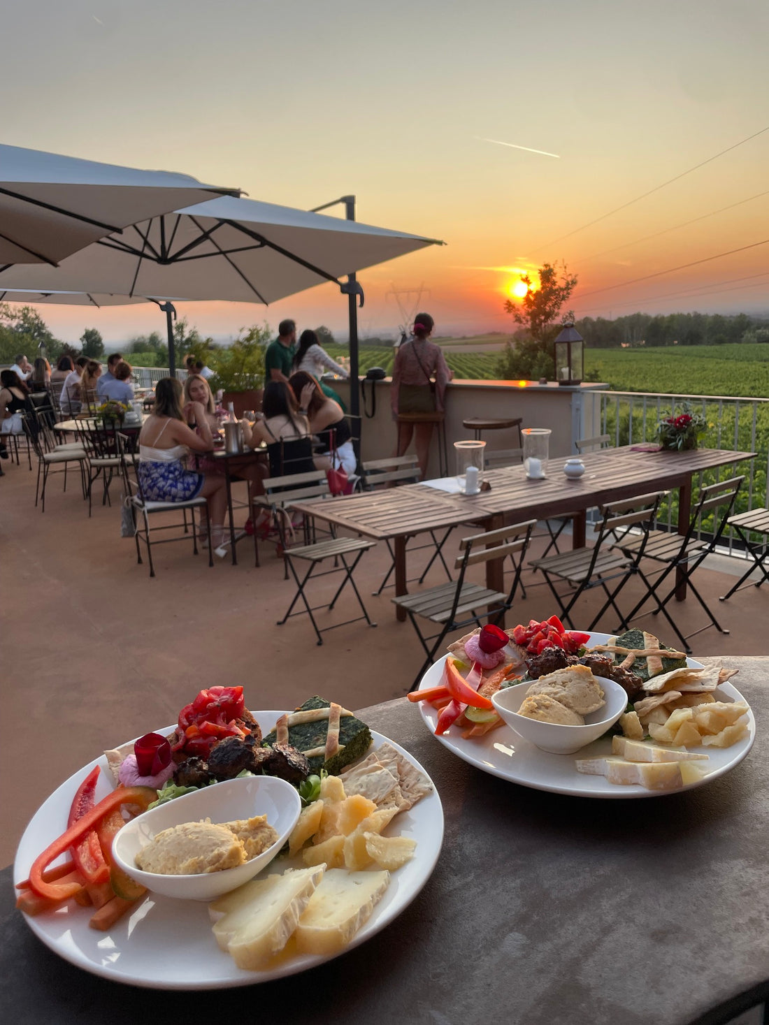 Castello di Tassarolo - Solo Vino Piemonte Castello di Tassarolo