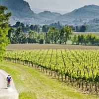 Cantina Moscone - Degustazione Il Monsù Piemonte Cantina Moscone