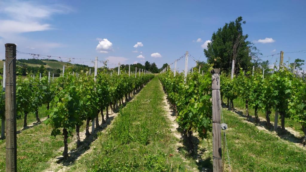 La Mondianese - Top Experience Piemonte La Mondianese