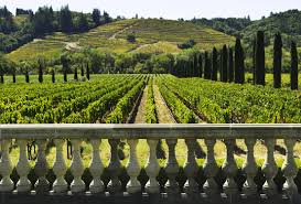 Soggiorno Luxury in Wine Resort - Lombardia Wineries Experience