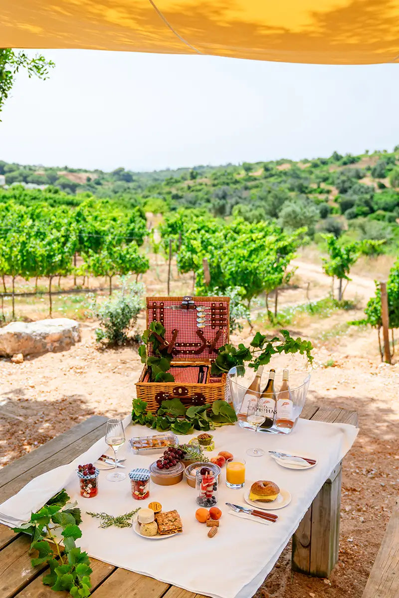 Soggiorno Luxury in Wine Resort - Lombardia Wineries Experience