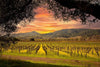 Soggiorno Luxury in Wine Resort - Lombardia Wineries Experience