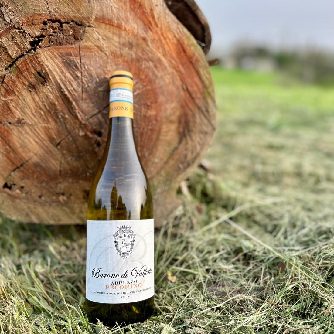 Barone di ValForte - Degustazione Riserva Abruzzo Barone di ValForte