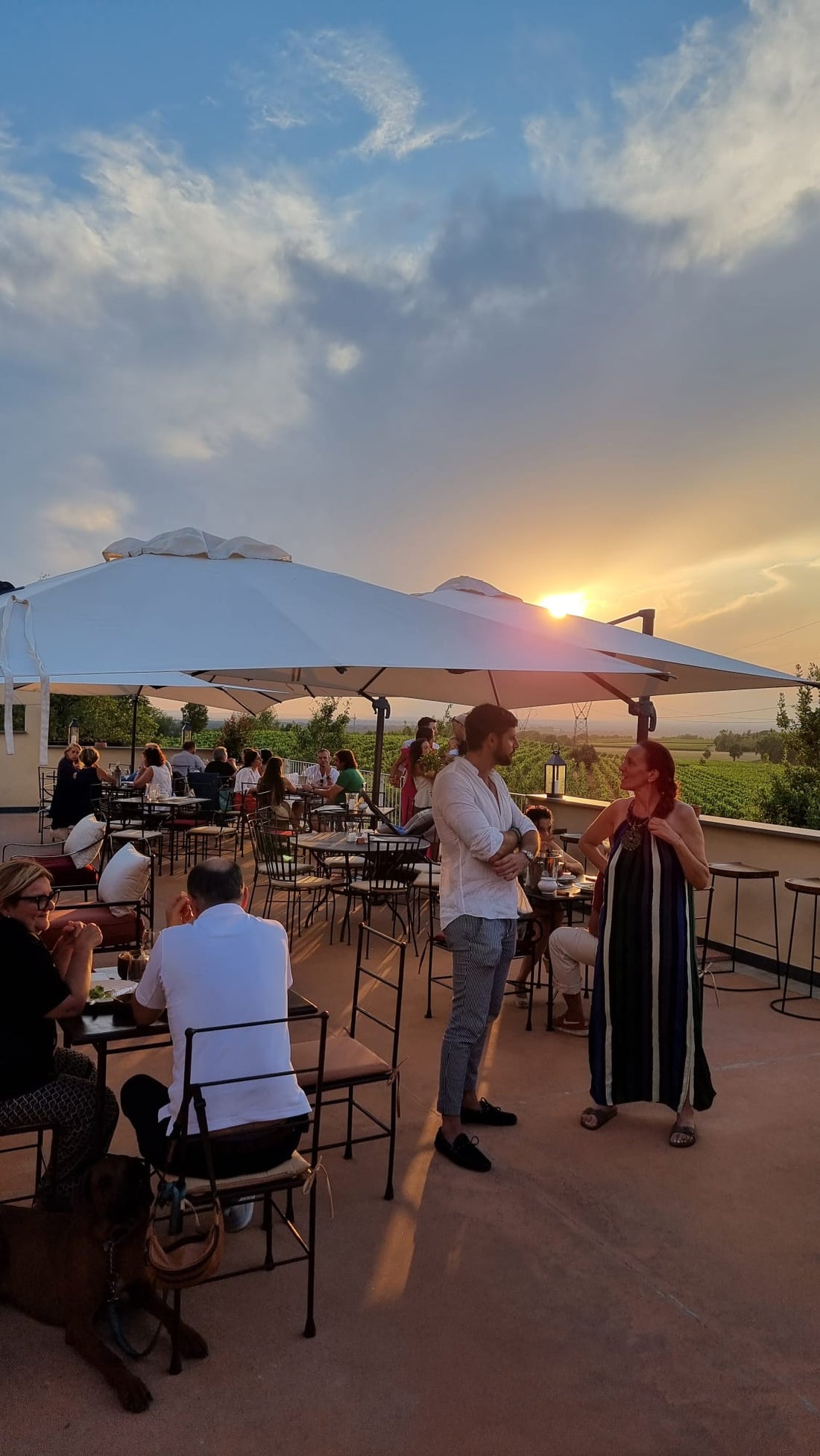 Castello di Tassarolo - Solo Vino Piemonte Castello di Tassarolo