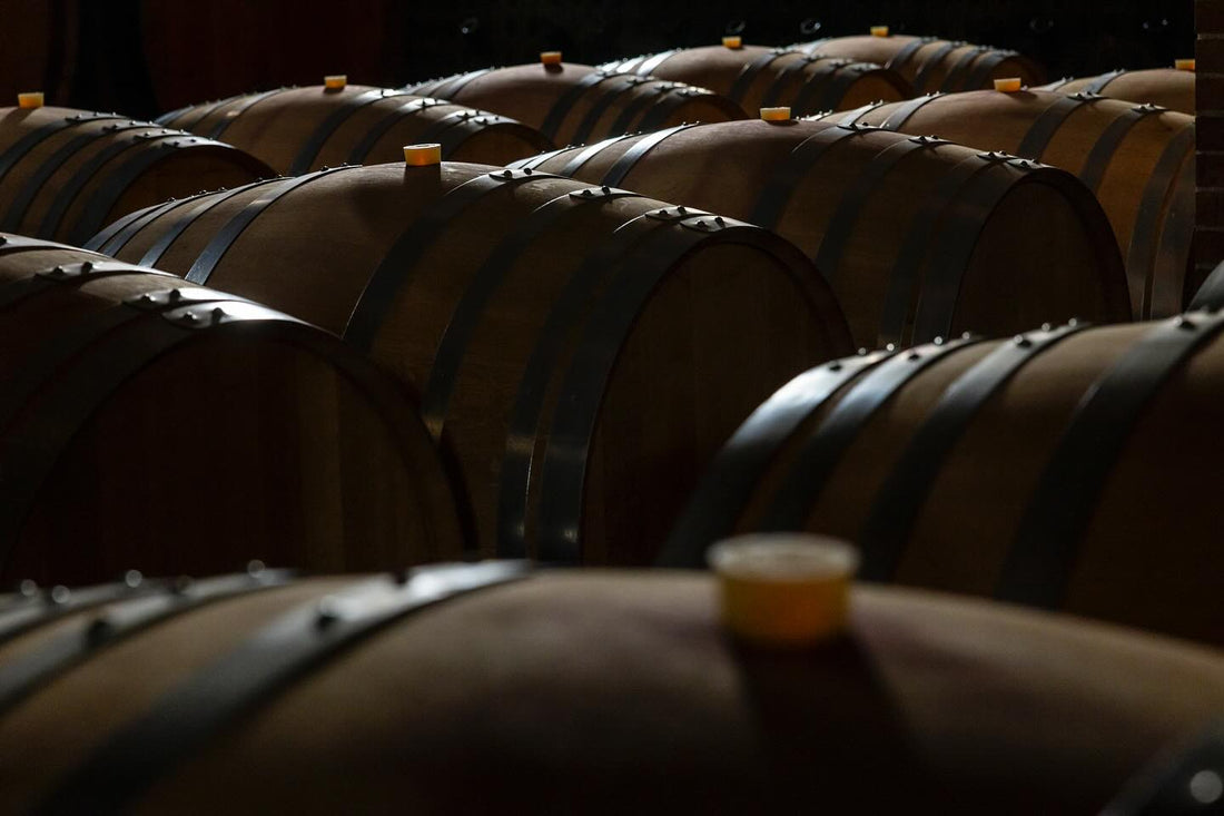 BERSANO - La Selezione Piemonte Bersano