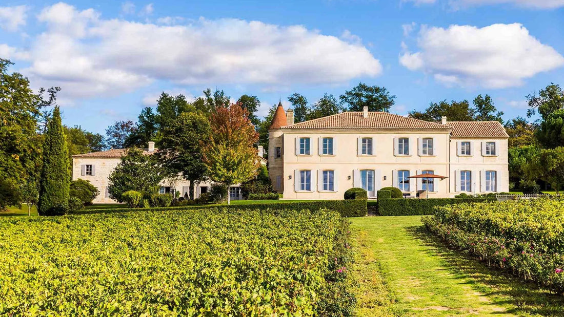 Soggiorno Luxury in Wine Resort - Campania Wineries Experience